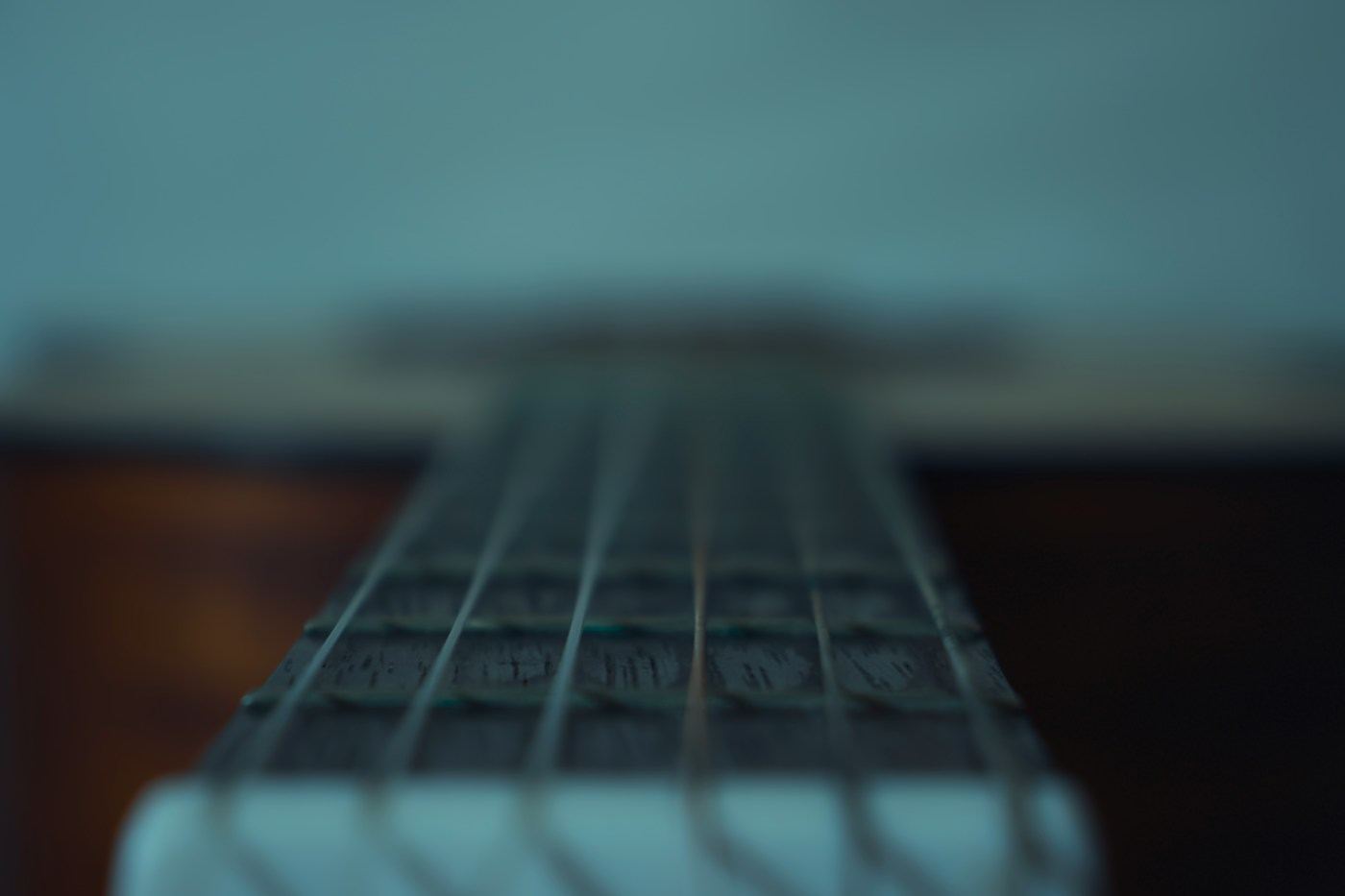 Guitar neck and fret markers